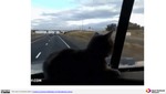 MISSING THUMBNAIL